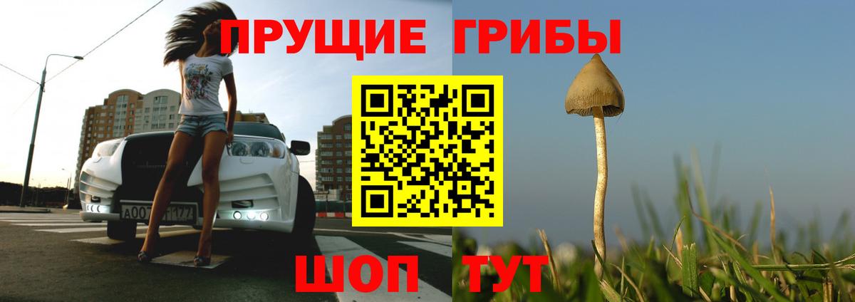 Чита  Галлюциногенные грибы Cubensis  Вход с VPN 